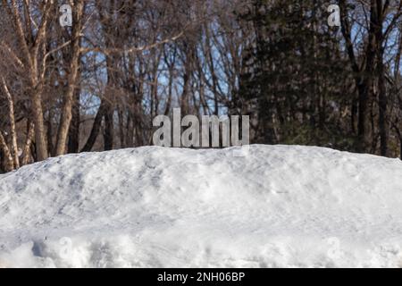 Landschaftsblick auf einen Hügel mit weißem Schnee, der im Spätwinter gerade erst unter natürlichem Sonnenlicht zu schmelzen beginnt Stockfoto