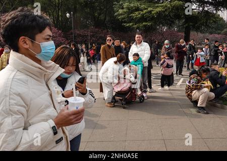 Changzhou, China. 19. Februar 2023. Eltern mit ihren Kindern genießen die Landschaft im Park. Während dieser Zeit sind die meisten Orte in Südchina im Frühling und die Menschen gehen raus, um die Atmosphäre zu genießen. Der traditionelle chinesische Solarbegriff für diese Zeit ist „Regenwasser“ (Foto von Sheldon Cooper/SOPA Images/Sipa USA). Gutschrift: SIPA USA/Alamy Live News Stockfoto