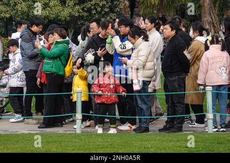 Changzhou, China. 19. Februar 2023. Die Menschen genießen die Landschaft und machen Fotos im Park. Während dieser Zeit sind die meisten Orte in Südchina im Frühling und die Menschen gehen raus, um die Atmosphäre zu genießen. Der traditionelle chinesische Solarbegriff für diese Zeit ist „Regenwasser“ (Foto von Sheldon Cooper/SOPA Images/Sipa USA). Gutschrift: SIPA USA/Alamy Live News Stockfoto