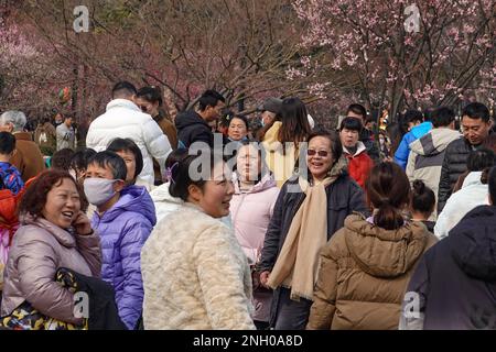 Changzhou, China. 19. Februar 2023. Menschen, die die Landschaft im Park genossen haben. Während dieser Zeit sind die meisten Orte in Südchina im Frühling und die Menschen gehen raus, um die Atmosphäre zu genießen. Der traditionelle chinesische Solarbegriff für diese Zeit ist „Regenwasser“ (Foto von Sheldon Cooper/SOPA Images/Sipa USA). Gutschrift: SIPA USA/Alamy Live News Stockfoto