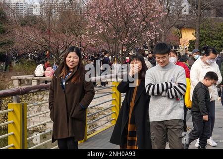 Changzhou, China. 19. Februar 2023. Menschen, die die Landschaft im Park genossen haben. Während dieser Zeit sind die meisten Orte in Südchina im Frühling und die Menschen gehen raus, um die Atmosphäre zu genießen. Der traditionelle chinesische Solarbegriff für diese Zeit ist „Regenwasser“ (Foto von Sheldon Cooper/SOPA Images/Sipa USA). Gutschrift: SIPA USA/Alamy Live News Stockfoto