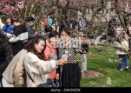 Changzhou, China. 19. Februar 2023. Frauen sahen ein Selfie im Park. Während dieser Zeit sind die meisten Orte in Südchina im Frühling und die Menschen gehen raus, um die Atmosphäre zu genießen. Der traditionelle chinesische Solarbegriff für diese Zeit ist „Rain Water“ Credit: SOPA Images Limited/Alamy Live News Stockfoto