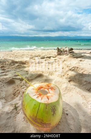 Frisch geöffnet zum Trinken von gesundem Kokosnusswasser. Im Schatten an einem faulen tropischen Strand auf den Philppines Inseln, mit weißem, feinem Sand, klarem, blauem Meer Stockfoto