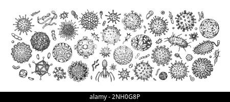Eingravierte Viren und Bakterien auf weißem Hintergrund isoliert. Verschiedene Typen mikroskopischer Mikroorganismen. Vektordarstellung im Skizzenstil Stock Vektor