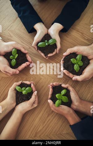 Das Unternehmen von Geburt an pflegen. Eine Gruppe von Geschäftsleuten, die Pflanzen halten, die aus dem Boden wachsen. Stockfoto