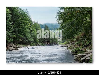 Foto auf Leinwand, weißer Hintergrund. Wilder Bergfluss, der an felsigen Ufern im Wald entlang fließt Stockfoto