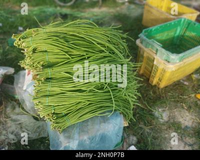 Bündel rohes, frisches Gemüse aus Spargelbohnen Stockfoto