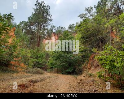 Rustrel french colorado in roussillon frankreich mit Kiefern Stockfoto