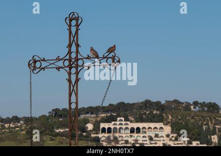 Tauben auf einem Metallkreuz mit Blick auf das Mormon BYU Brigham Young University Jerusalem Center for Near Eastern Studies auf dem Ölberg in Ost-Jerusalem, Israel Stockfoto