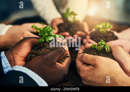 Die bescheidenen Anfänge eines Geschäfts. Eine Gruppe von Geschäftsleuten, die Pflanzen halten, die aus dem Boden wachsen. Stockfoto