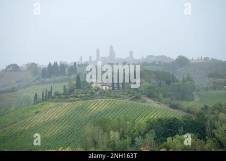 Typisch schöne toskanische Hügellandschaft mit Zypressen, Weinberg, Bauernhof und san gimignano im nebligen Hintergrund, Kopierraum Stockfoto