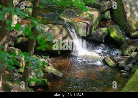 Ein malerischer Bach in einem üppigen Wald, der friedlich zwischen großen moosbedeckten Felsen und majestätischen Bäumen fließt Stockfoto