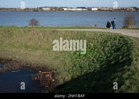 Am 19. Februar 2023 in London, England, befindet sich in den Dartford Marshes im Norden von Kent ein abgekippter Supermarkt-Trolley im Schlamm. Stockfoto