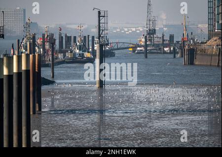 Hafen und Elbe, Hamburg, Deutschland Stockfoto