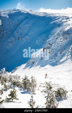 Schneebedeckte Tuckerman-Schlucht mit Skifahrer, die rechts in die Schlucht fahren Stockfoto