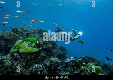 Freibeuter im klaren Wasser der Andamanensee in Thailand Stockfoto