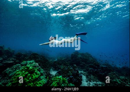 Freibeuter im klaren Wasser der Andamanensee in Thailand Stockfoto