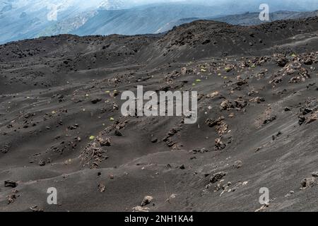 Stöcke (Mitte) markieren einen Pfad durch die trostlose, mit Asche bedeckte vulkanische Landschaft des Valle del Bove hoch oben an den Hängen des Ätna, Sizilien, Italien Stockfoto