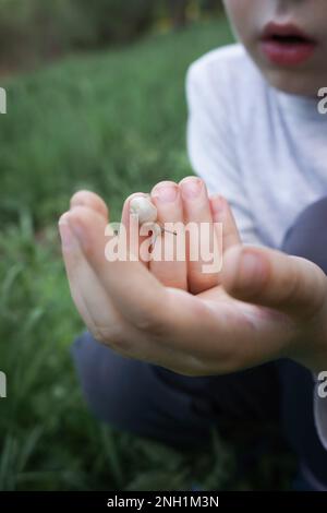 Schnecke in Kinderhänden im Freien Nahaufnahme Stockfoto