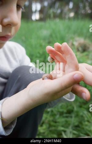Zwei Schnecken in der Hand des Kindes im Freien, Nahaufnahme Stockfoto
