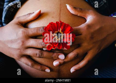Nahaufnahme von Frauenhänden, die Blumen über den schwangeren Bauch halten Stockfoto