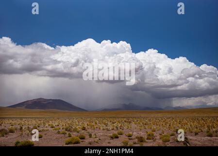 Duschwolken über der Landschaft des Hohen Altiplano, in der Nähe von San Pedro de Atacama, Chile. Stockfoto