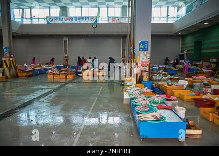 Jagalchi Fischmarkt der größte Fischmarkt in Busan Südkorea am 15. Februar 2023 Stockfoto