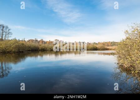 Naturschutzgebiet Brabbia, Inarzo, Italien. Das Brabbia-Sumpfgebiet (Palude Brabbia) gilt seit 1984 als Feuchtgebiet von internationaler Bedeutung Stockfoto