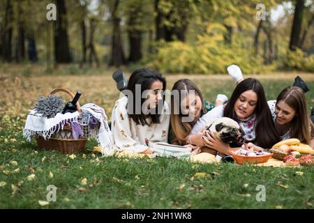 Eine Gruppe von vier jungen Frauen im Park auf einem lustigen Picknick, mit einem süßen Hund. Stockfoto