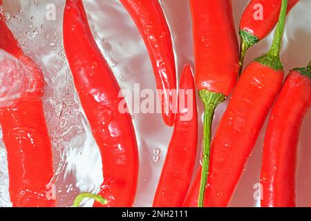 Nahaufnahme roter Chilipaprika auf weißem Hintergrund. Chili-Paprika in Mineralwasser auf weißem Hintergrund, Nahaufnahme. Horizontales Bild Stockfoto