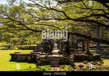 Eine Ruine des antiken Tempels neben der Elefantenterrasse im berühmten Angkor-Komplex in Kambodscha. Stockfoto