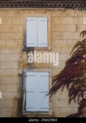 Weiße Fensterläden eines alten Steingebäudes in der Provence. Das Gebäude ist mit bunten Kletterpflanzen bedeckt Stockfoto