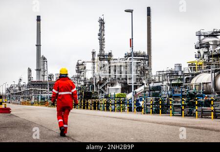 MOERDIJK - Shell Moerdijk Außenansicht. Das Unternehmen stellt chemische Produkte auf Erdölbasis her. ANP JEFFREY GROENEWEG niederlande raus - belgien raus Stockfoto