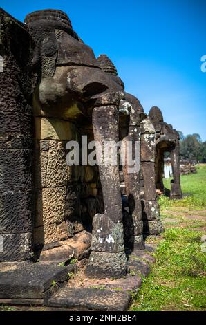 Uralte geschnitzte riesige Elefantenköpfe am Rand der Elefantenterrasse im Angkor-Komplex in Kambodscha. Stockfoto