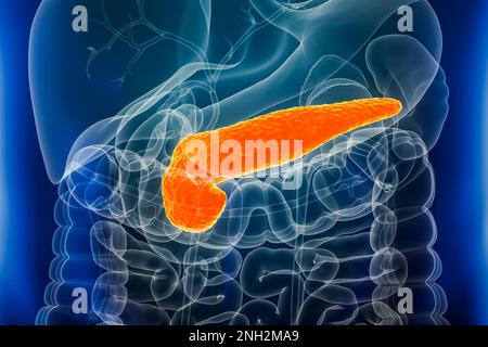 Pankreasorgane Röntgen Nahaufnahme 3D-Rendering-Darstellung mit männlichen Körperkonturen. Anatomie, Verdauungssystem, biomedizinisch, Krankheit, medizinisch, Biologie, Science Stockfoto