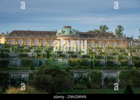 Schloss Sanssouci und Weinbergterrassen - Potsdam, Brandenburg, Deutschland Stockfoto