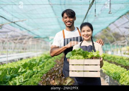 Zwei junge asiatische Bauern, die glücklich auf einer Gemüse-Hydrokultur arbeiten. Mann und Frau, Bauer, der eine Schachtel grüner Salate dabei hat Stockfoto