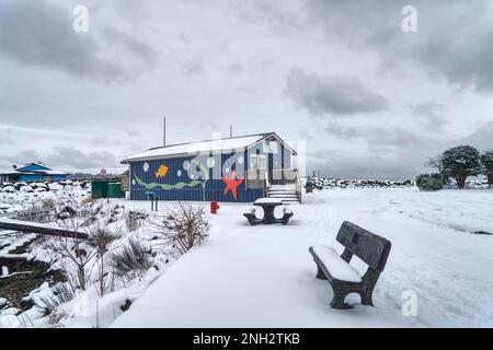 Das blaue Discovery Passage Aquarium mit seinen Meeresbewohnern und seinem schneebedeckten Parkplatz sowie einem leeren Picknicktisch und einer Bank. Stockfoto