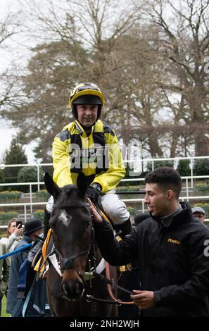 Ascot, Berkshire, Großbritannien. 18. Februar 2023. Jockey Nico de Boinville, der auf dem Pferd Shishkin reitet, kehrt zum Parade Ring zurück, nachdem er am Betfair Ascot Chase Raceday die Betfair Ascot Steeple Chase auf der Ascot Rennbahn gewonnen hat. Trainer Nicky Henderson, Lambourn. Die Besitzerin Mrs J. Donnelly. Kredit: Maureen McLean/Alamy Stockfoto