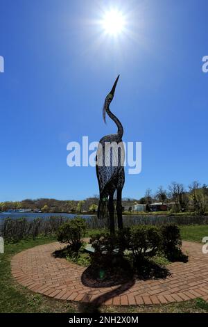 Heron Park Centerport Long Island New York Stockfoto