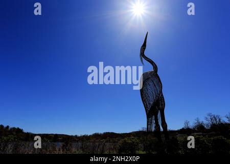 Heron Park Centerport Long Island New York Stockfoto