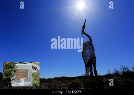 Heron Park Centerport Long Island New York Stockfoto