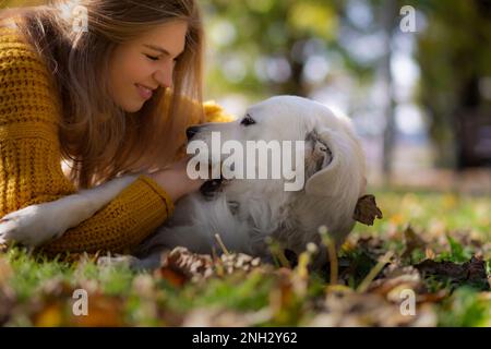 Belgrad, Serbien. 10. November 2022. Fröhliche junge Frau, die mit ihrem goldenen Retriever auf dem Boden eines Parks spielt. Spaß am sonnigen Tag. Stockfoto