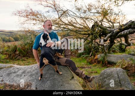 Ein glücklicher Rentner mit englischen Bulldoggen, die bei Sonnenuntergang im Peak District spazieren gehen. Hundetraining. Freizeit im Ruhestand Stockfoto