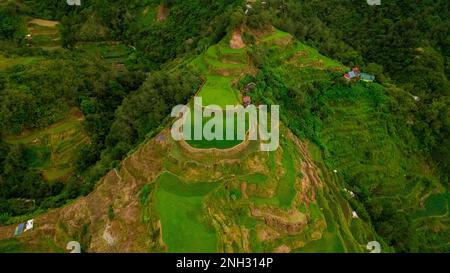 Luftdrohnenfoto von Reisterrassen und Bergen in banaue, ifugao Region, North luzon Island, philippinen Stockfoto
