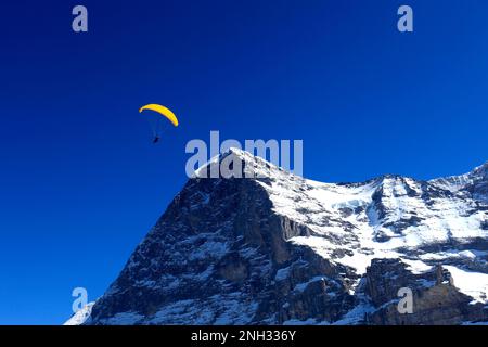 Gleitschirmfliegen über der Nordseite des Eiger, Skigebiet Grindelwald; Schweizer Alpen, Jungfrau - Aletsch; Berner Oberland; Schweiz, Europa Stockfoto