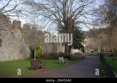 Eine Flusswanderung am Wolvesey Castle in Winchester, Hampshire, Großbritannien Stockfoto