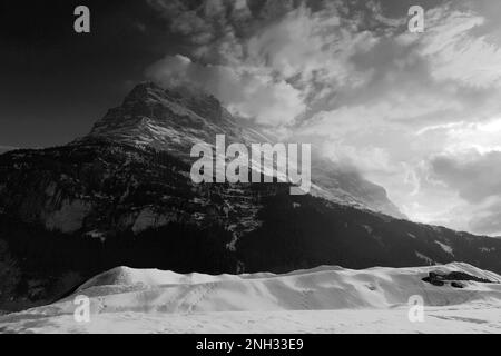 Winter Schnee-Blick auf die Nordwand des Berges Eiger Grindelwald Skigebiet; UNESCO World Heritage Site, Schweizer Alpen Jungfrau - Aletsch; Bernes Stockfoto