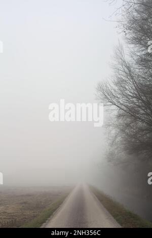 Landstraße an einem nebligen Tag im Winter, umgeben von einem Wasserstrom und einem Feld Stockfoto