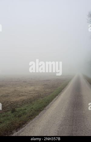 Landstraße an einem nebligen Tag im Winter, umgeben von einem Wasserstrom und einem Feld Stockfoto